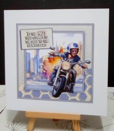 The Biker Nut by Benita Jenkinson