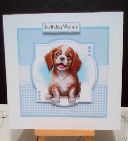 Happy Dog by Benita Jenkinson