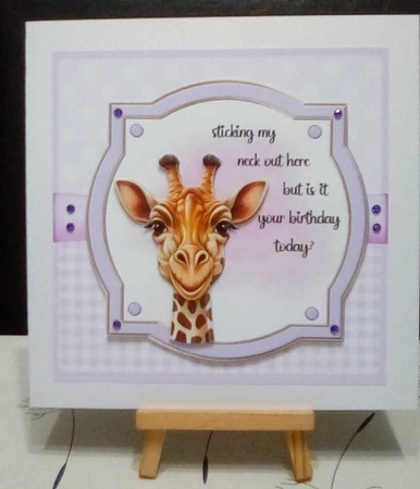 Giraffe Birthday by Benita Jenkinson