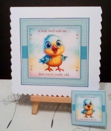Little Bird mini kit by Benita Jenkinson