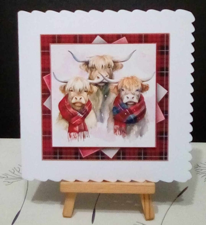 Highland Cow  Mini Kit    7X7 by Benita Jenkinson