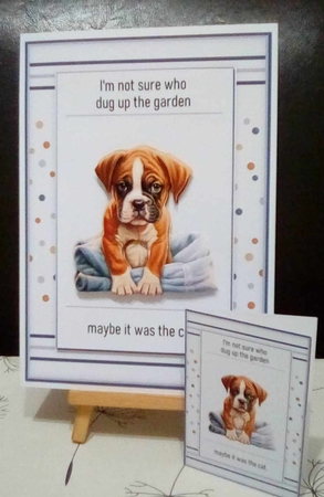 The garden by Benita Jenkinson