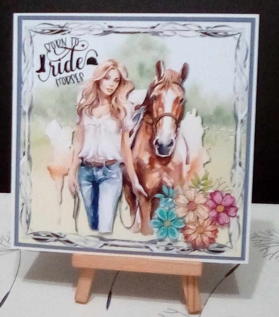 Born to ride Horses by Benita Jenkinson