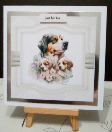 Pets are Family Mini Kit by Benita Jenkinson