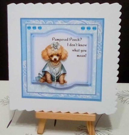 Pampered Pooch by Benita Jenkinson