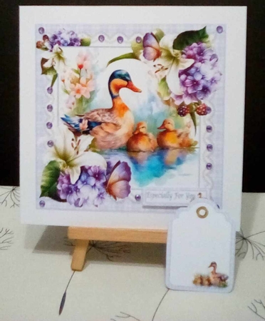 8x8 Its a ducks life mini kit by Benita Jenkinson