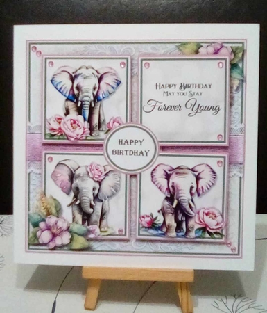 Birthday Elephant  by Benita Jenkinson
