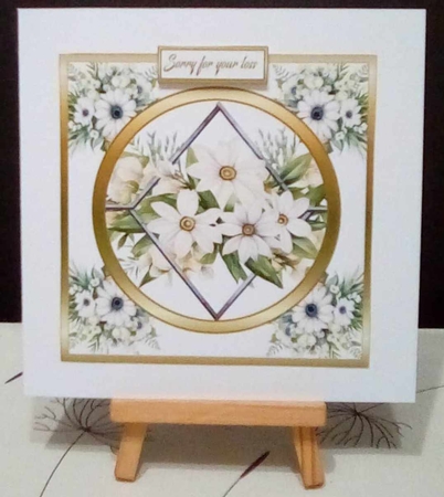 SC White daisies (Sympathy) by Benita Jenkinson