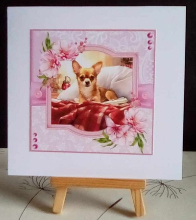 Bedtime Chihuahua  by Benita Jenkinson