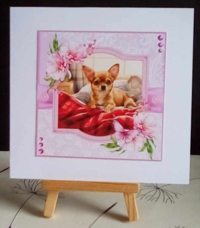 Bedtime Chihuahua  by Benita Jenkinson