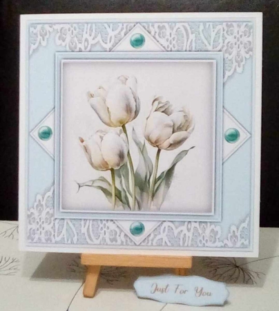 8x8 Mini Kit, Beautiful Tulips by Benita Jenkinson