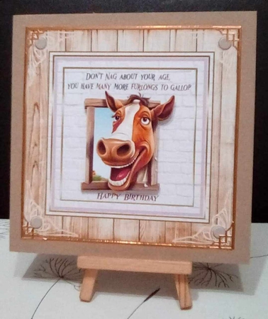 Dont nag about your age 7x7ins kit with bookmarks by Benita Jenkinson