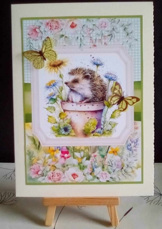 2 Framed floral hedgehog card fronts 2 by Benita Jenkinson