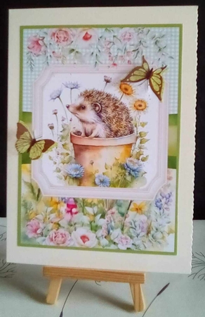 2 Framed floral hedgehog card fronts 2 by Benita Jenkinson