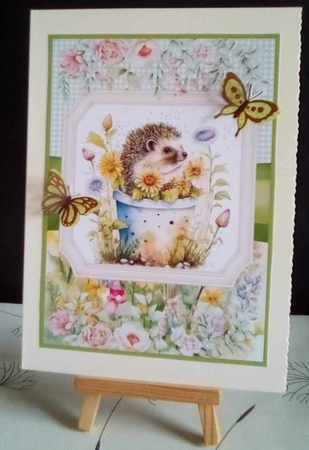 2 Framed floral hedgehog card fronts 3 by Benita Jenkinson