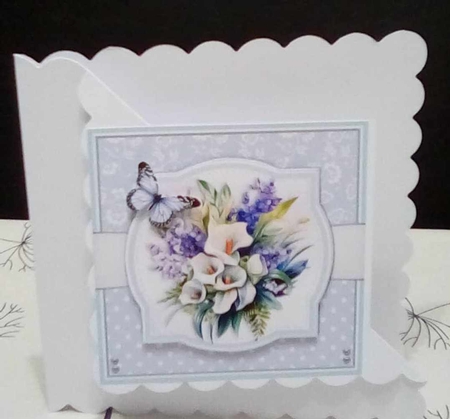 SYMPATHY CALLA by Benita Jenkinson