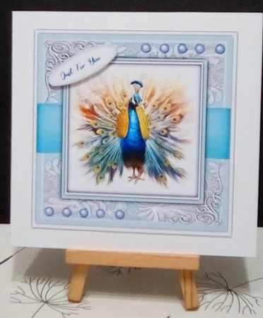 8x8 Mini Kit, Beautiful Blue Peacock by Benita Jenkinson