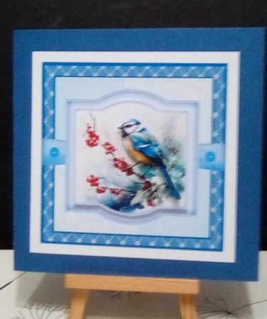 Bluetits and Berries  by Benita Jenkinson