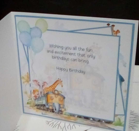 The Jungle Train by Benita Jenkinson