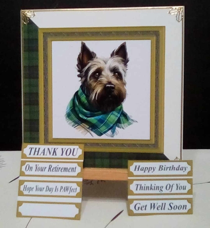Tartan scarf Scottish terrier card front 1 by Benita Jenkinson