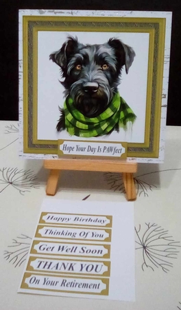 Tartan scarf Scottish terrier card front 2 by Benita Jenkinson