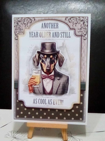 You Old Dog! by Benita Jenkinson
