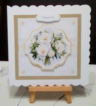 Purely Peony  by Benita Jenkinson