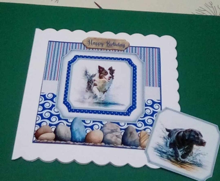 Running in the water dog card front 2 by Benita Jenkinson