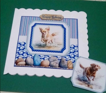 Running in the water dog card front 3 by Benita Jenkinson