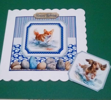 Running in the water dog card front 4 by Benita Jenkinson