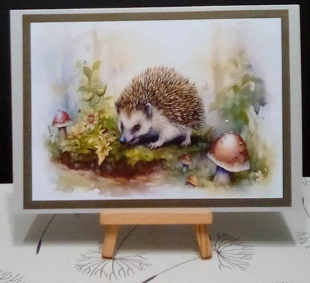 Hedgehog by Benita Jenkinson