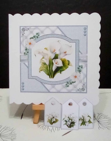 Delicate Calla Lilies by Benita Jenkinson