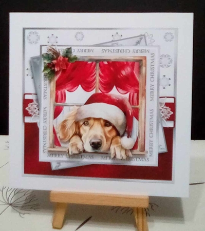 Through the window retriever by Benita Jenkinson