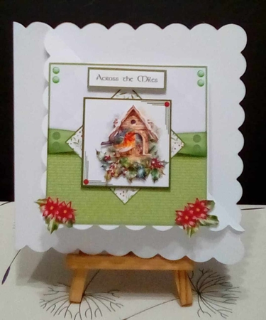 A Little Christmas Robin by Benita Jenkinson