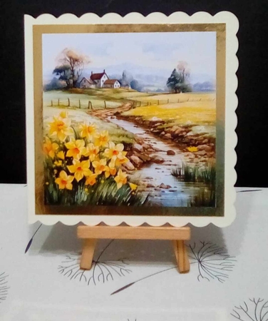 Daffodils fields CARD FRONTS by Benita Jenkinson