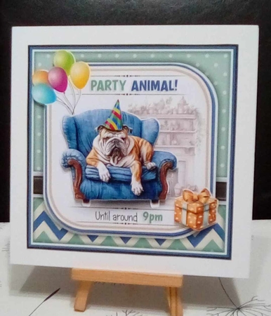 The Party Animal by Benita Jenkinson