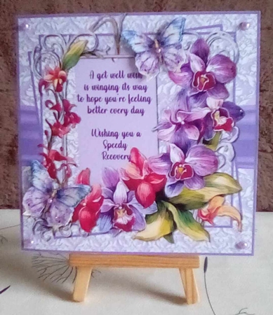 Orchid occasions by Benita Jenkinson