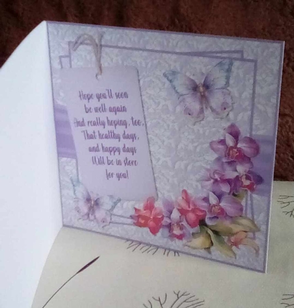 Orchid occasions by Benita Jenkinson