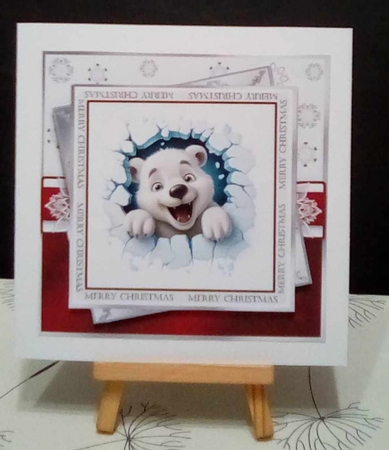 Polar Suprise by Benita Jenkinson