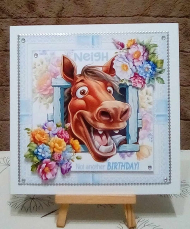 7x7 Birthday wishes from the horse choice of four mini kit by Benita Jenkinson