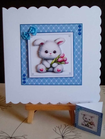 Its Some Bunnies Special Day by Benita Jenkinson
