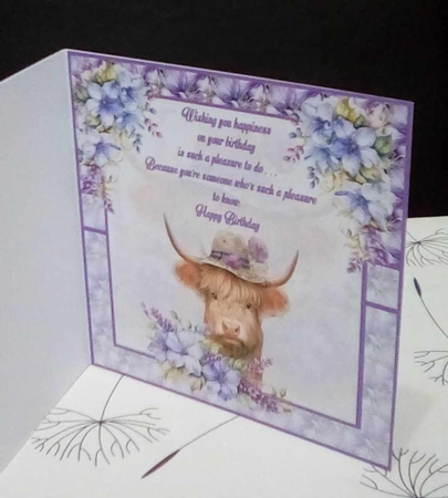 Highland Beauty by Benita Jenkinson