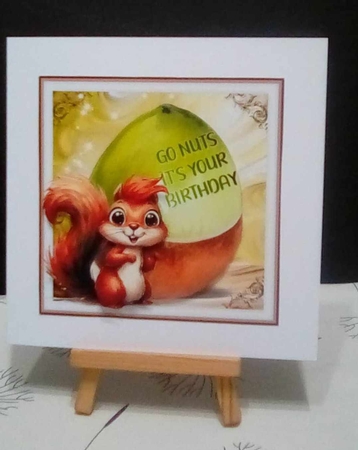 Go Nuts by Benita Jenkinson