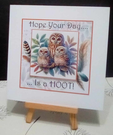 Birthday Hoot by Benita Jenkinson