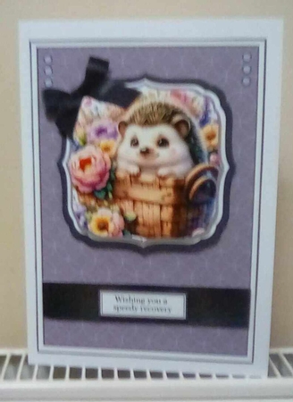 A5 Cute Hedgehog 5 Card Front with Toppers,decoupage Layers & Sentiments  by Benita Jenkinson