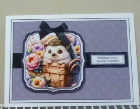 A5 Cute Hedgehog 5 Card Front with Toppers,decoupage Layers & Sentiments  by Benita Jenkinson