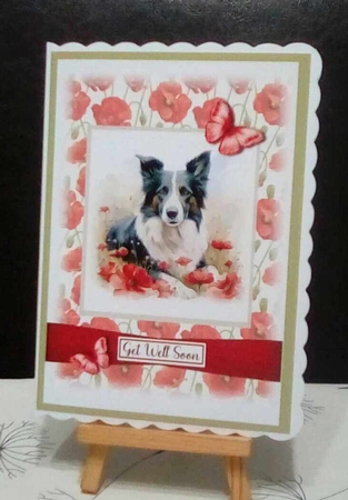 Border Collies make everything better! by Benita Jenkinson