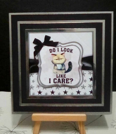 Funny Cats Mini Kit 2 by Benita Jenkinson
