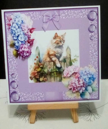 cat and flowers by Benita Jenkinson