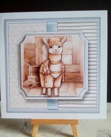 LLama Birthday  by Benita Jenkinson